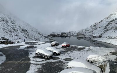 L’HIVER SUIVANT