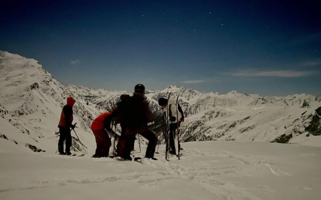 SOUS LA VOÛTE  ÉTOILÉE